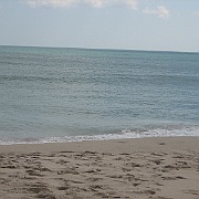 Picture 035
